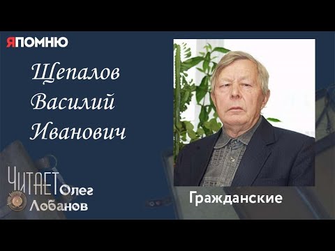 Видео: Щепалов Василий Иванович. Проект "Я помню" Артема Драбкина. Гражданские.