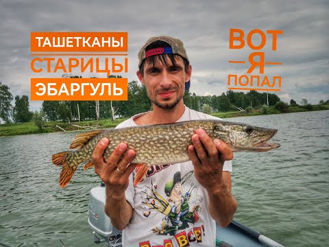 Видео: Незабываемые рыбалки на старицах Омской области