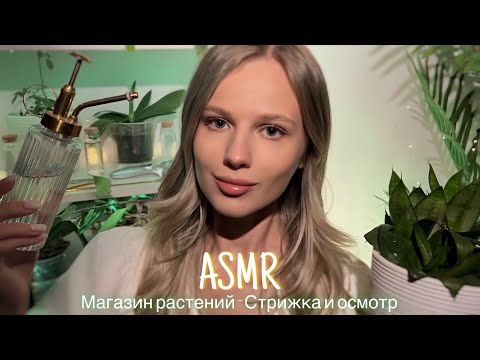 Видео: АСМР | 🌿 МАГАЗИН РАСТЕНИЙ - СТРИЖКА И ОСМОТР 🌿| 😴 ТИХИЙ ГОЛОС 🤫👄