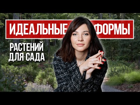 Видео: Как создать идеальный сад: Выбираем формы растений правильно