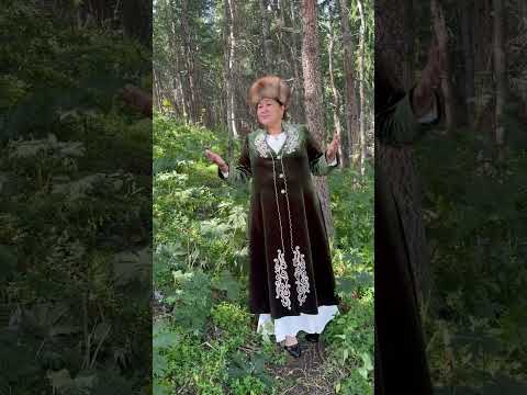 Видео: Ысмайылова Айсалкын  «Апамдын ыры»