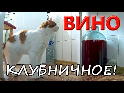 Видео: ВИНО! ИЗ КЛУБНИКИ!