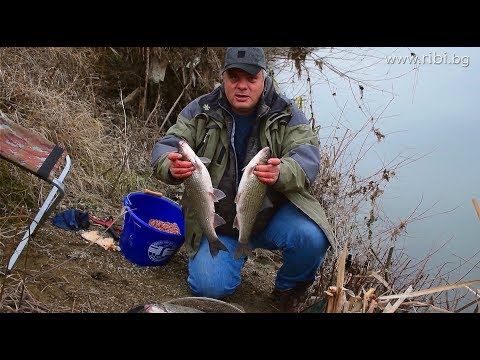 Видео: Време за трофейни скобари - част 2