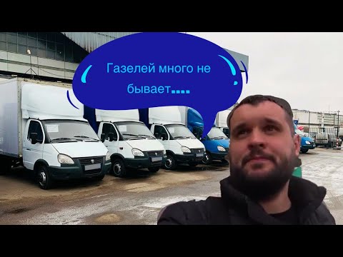 Видео: Газелей много не бывает. Покупка автомобиля на торгах по банкротству.