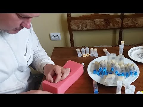 Видео: 21. Вихід маток 25.05.2017 | Выход маток 25.05.2017