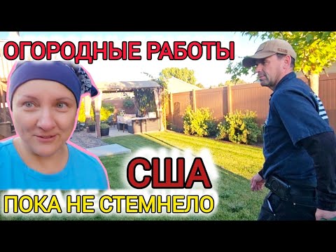 Видео: Готовлю рыбу и суп. Подготовка "огорода" к зиме или уборка на заднем дворе.
