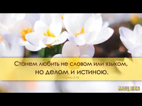 Видео: "Господи, покажи мне, какой Ты". Н. С. Антонюк. Проповедь. МСЦ ЕХБ.