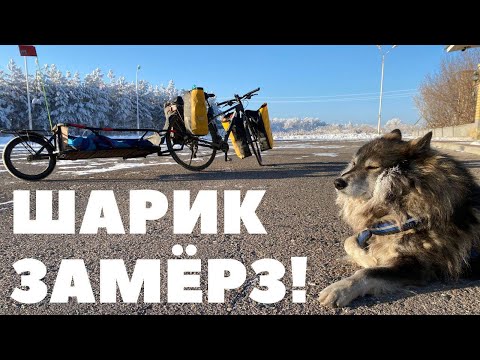 Видео: В Сочи зимой на велосипеде #3 | Более 600 км с прицепом и собакой | Саратов