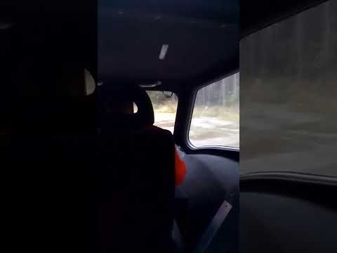 Видео: Внутри болотохода
