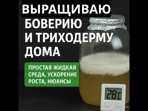 Видео: Тонкости и нюансы - как вырастить биопрепараты в домашних условиях!