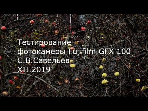 Видео: С.В. Савельев. Фотокамера Fujifilm GFX 100