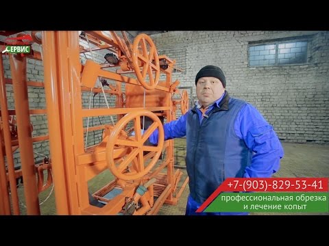 Видео: СКМ "Профи" - Станок для обрезки копыт КРС (инструкция)