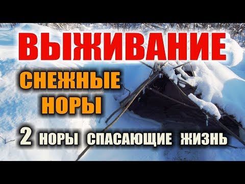 Видео: УКРЫТИЕ ЗИМОЙ В ЛЕСУ. Укрытие из снега.. Выживание зимой - Снежная пещера, снежная нора. Бушкрафт.