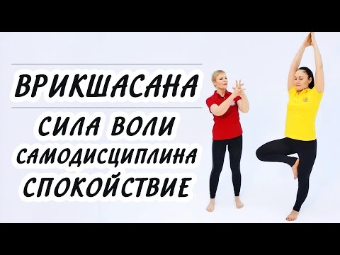 Видео: ВРИКШАСАНА. Сила воли и спокойствие. Техника правильного выполнения Позы дерева