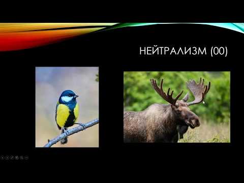 Видео: Типы взаимодействий популяций разных видов
