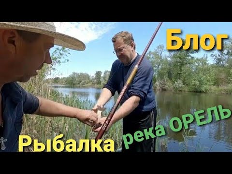 Видео: На рыбалке с кумом, наловил карасей, река ОРЕЛЬ, Обуховка, красивая природа #рыбалка #семейныйблог