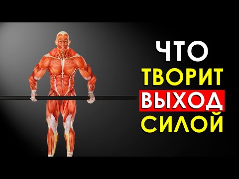 Видео: Вот Что Произошло с Моим Телом, Когда Я Начал Делать Выход Силой