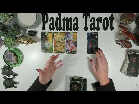 Видео: РАК♋️ ЭТО ТВОЙ ЗВОНОК ДЛЯ ПРОБУЖДЕНИЯ! 10-16 НОЯБРЯ. Еженедельное гадание на картах Таро 💫🔮