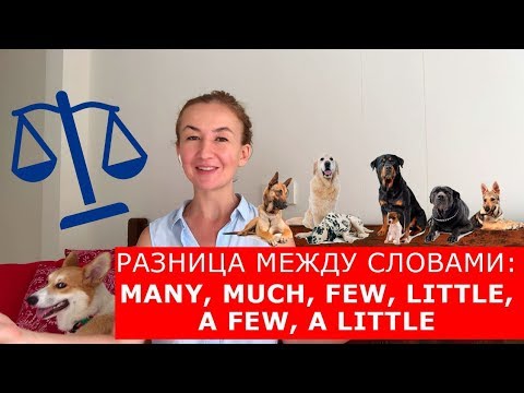 Видео: Разница между словами: many, much, few, little, a few, a little.  Английский для путешествий