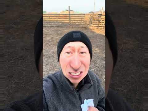 Видео: Зима близко - үбэл ойртожо байна😅