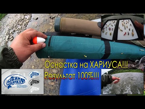 Видео: Самый ЛУЧШИЙ и ПРОСТОЙ, способ оснастки, НАСТРОЙ!!! Поплавочной удочки на ХАРИУСА!!! Результат 100%