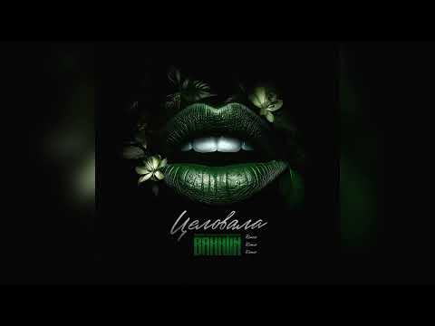 Видео: Bakhtin - Целовала. Remix