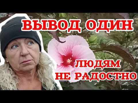 Видео: Ничего не продала. Людям цветы не нужны. 