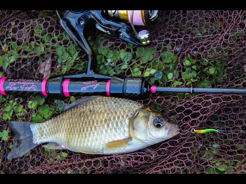 Видео: Наноколебло и мормышинг, карась, разнорыбица