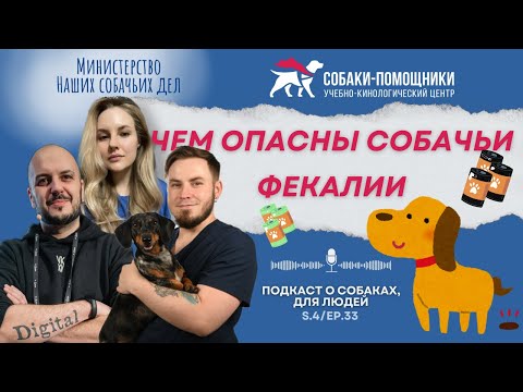 Видео: Собачьи экскременты. Физиологические и социальные нормы.