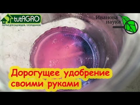 Видео: В 6 РАЗ ДЕШЕВЛЕ МОНОФОСФАТА КАЛИЯ! Приготовьте этот раствор для подкормки рассады и всех растений.