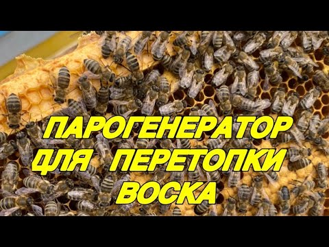 Видео: Перетопка воска с помощью самодельного ПАРОГЕНЕРАТОРА!!!