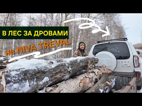 Видео: НА ЛУЧШЕЙ МАШИНЕ В МИРЕ - НИВА TRAVEL! В СНЕЖНЫЙ ЛЕС ЗА ВАЛЕЖНИКОМ!