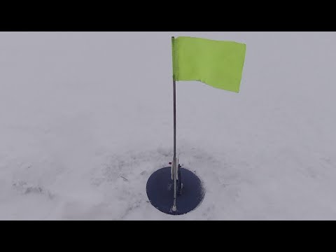 Видео: РЫБАЛКА НА ЖЕРЛИЦЫ. ЩУКА НА ЖИВЦА. ёрш,плотва и окунёк.