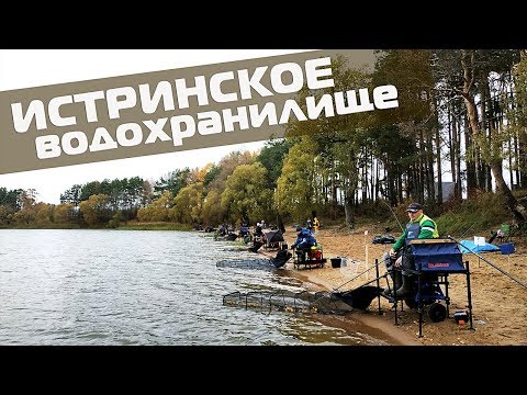 Видео: Истринское водохранилище: турнир по ловле на фидер, ТОП-10 НФЛ.