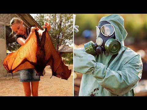 Видео: ▽ Самое страшное со всего мира