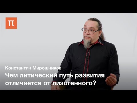 Видео: Фаготерапия - Константин Мирошников