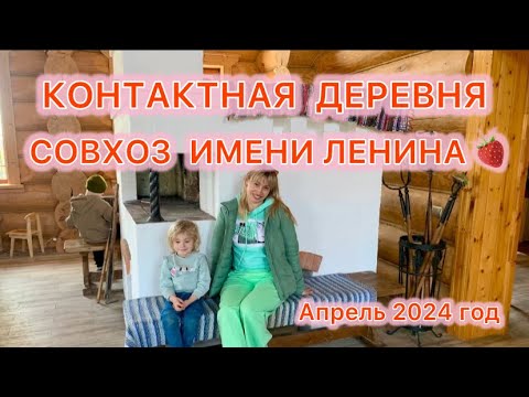 Видео: КОНТАКТНАЯ ДЕРЕВНЯ СОВХОЗ ИМЕНИ ЛЕНИНА 🍓🐐🦝🫏☀️