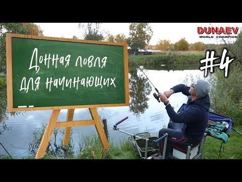 Видео: Донная ловля для начинающих. Ловля карася на деревенском пруду