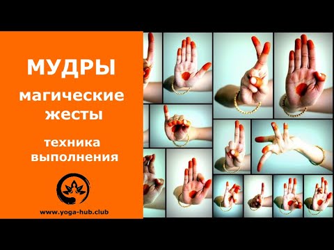 Видео: Мудры, что это такое и как их выполнять? Мудра здоровья, удачи и знания | Йога Хаб Клуб
