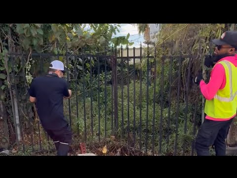 Видео: Эту женщину за это оштрафовали власти города, но несет ли она за это ответственность?