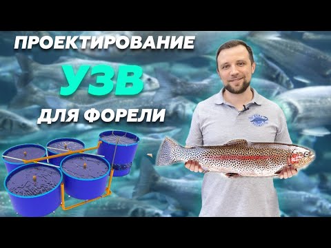 Видео: Топ 11 ФИШЕК при проектировании УЗВ для ФОРЕЛИ