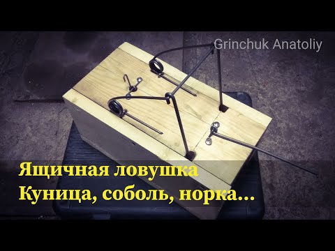 Видео: Простая ловушка за 100 РУБЛЕЙ для охоты на куницу, соболя, норку...