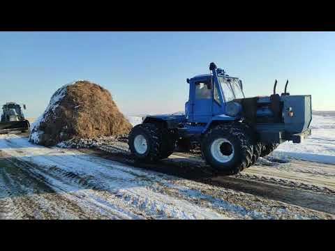 Видео: т150к запуск в мороз.Тянем скирды поближе к дому.