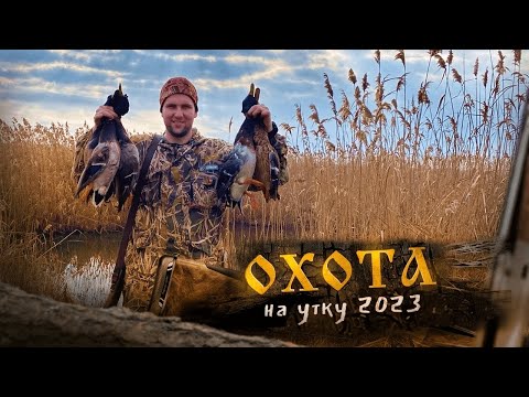 Видео: Охота на утку 2023 .Охотимся с подхода!!!