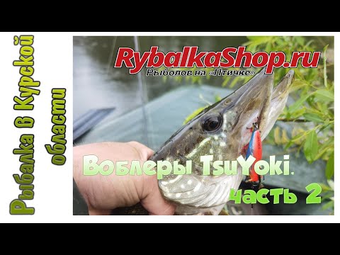 Видео: Посылка с попперами TsuYoki. Тест окунями. Часть 2