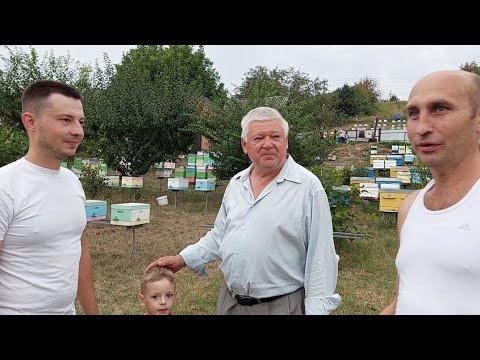 Видео: ДЕНЬ ПЧЕЛОВОДА. ч.3. В гостях у Дмитрия Олейника. 19/21.08.2021