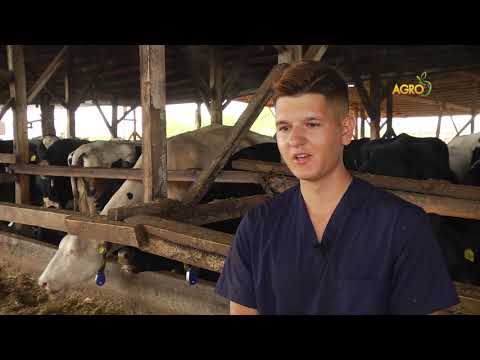 Видео: Животновъден дневник: Семейната ферма на фамилия Малеви