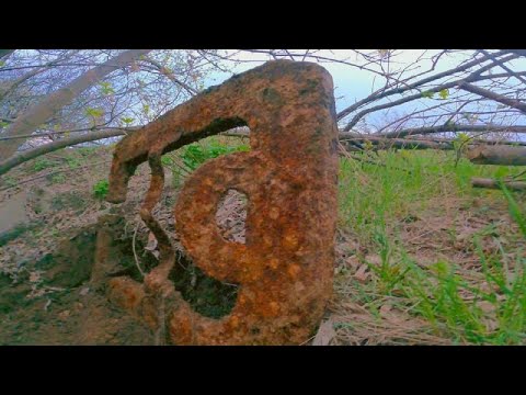 Видео: Вот и повезло !!! Металл под ногами , осталось загрузить #металлокоп #копметалла