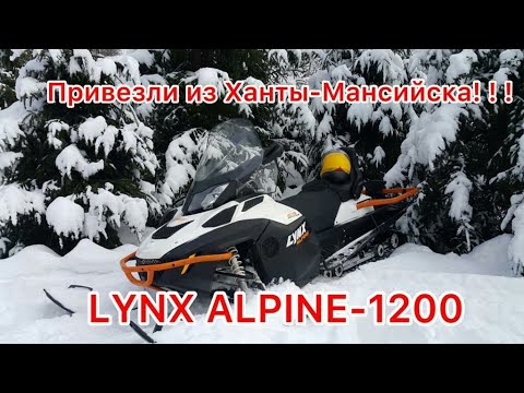 Видео: BRP LYNX ALPINE -1200 RENGER 69.14 гв с пробегом 12.439 км Привезли на мелкий ремонт Аппарат огонь!