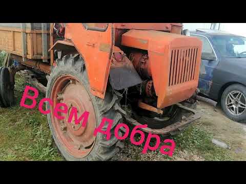 Видео: 1 октября 2023 г.